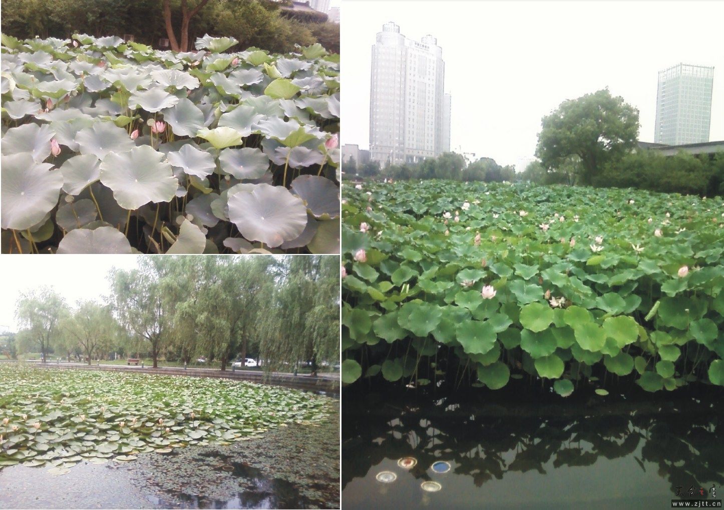 图形1.jpg