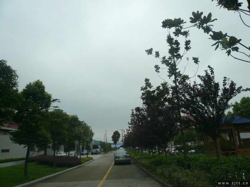 123.jpg