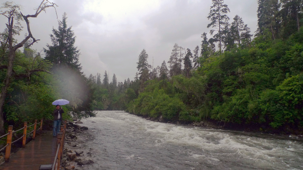 P1010655.jpg