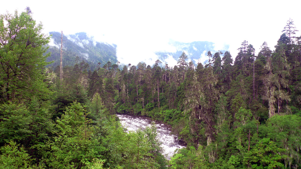P1010661.jpg