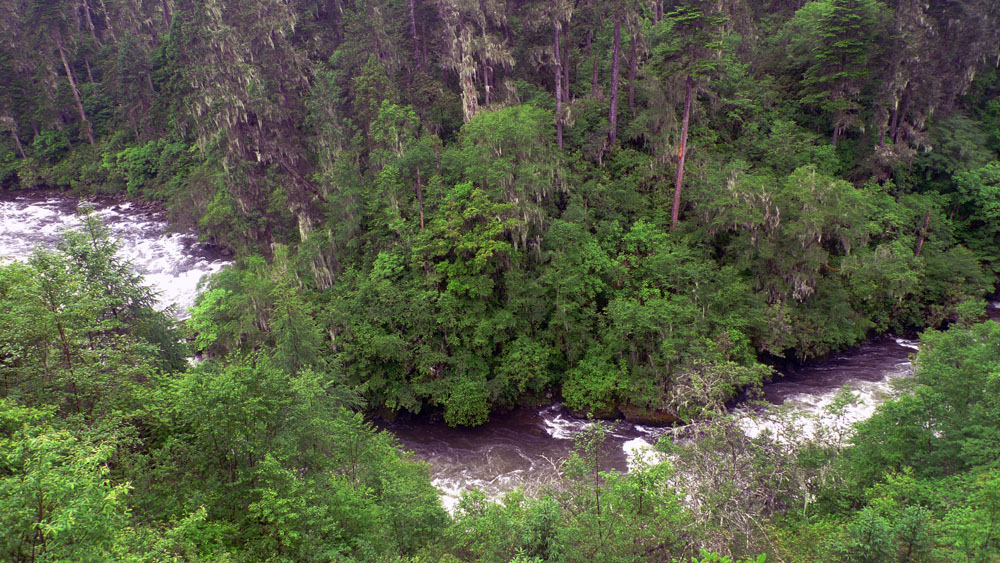 P1010664.jpg