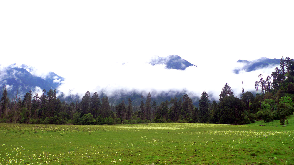 P1010669.jpg