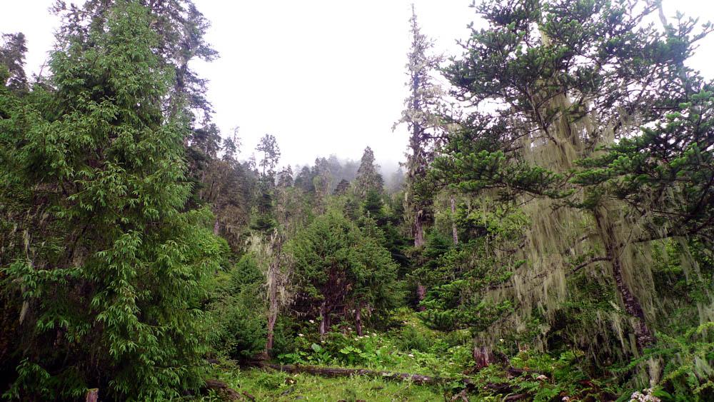 P1010673.jpg
