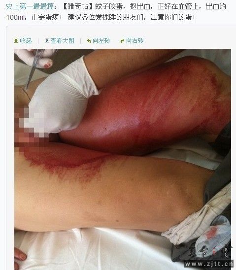 未命名.jpg