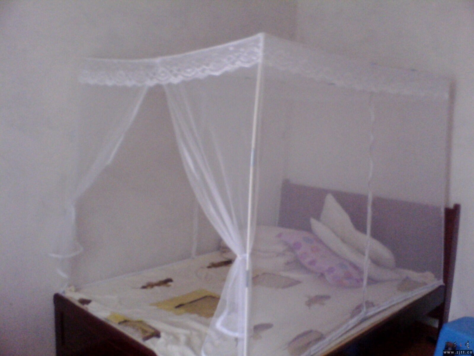 IMG0134A_A.jpg