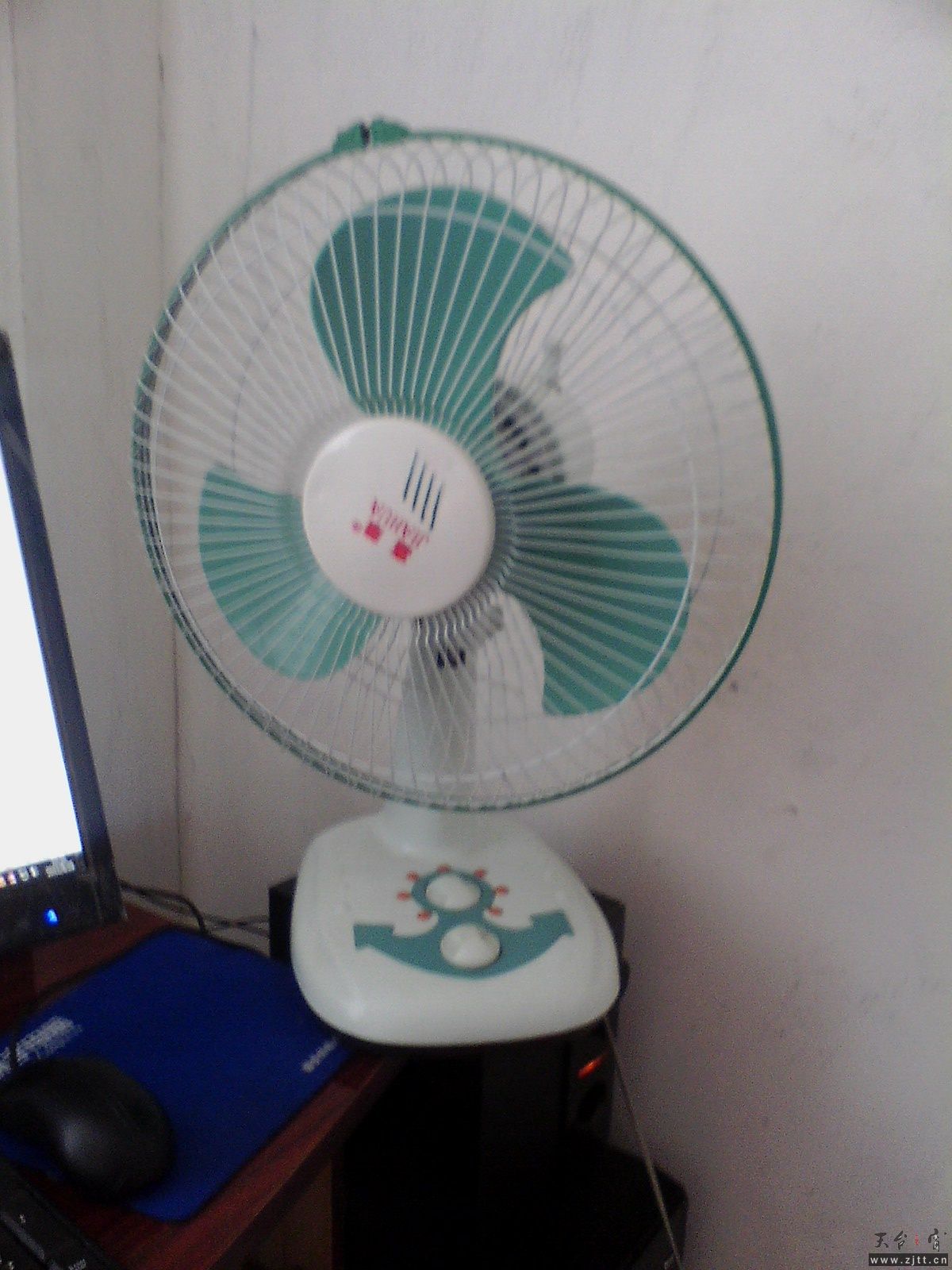 IMG0136A_B.jpg