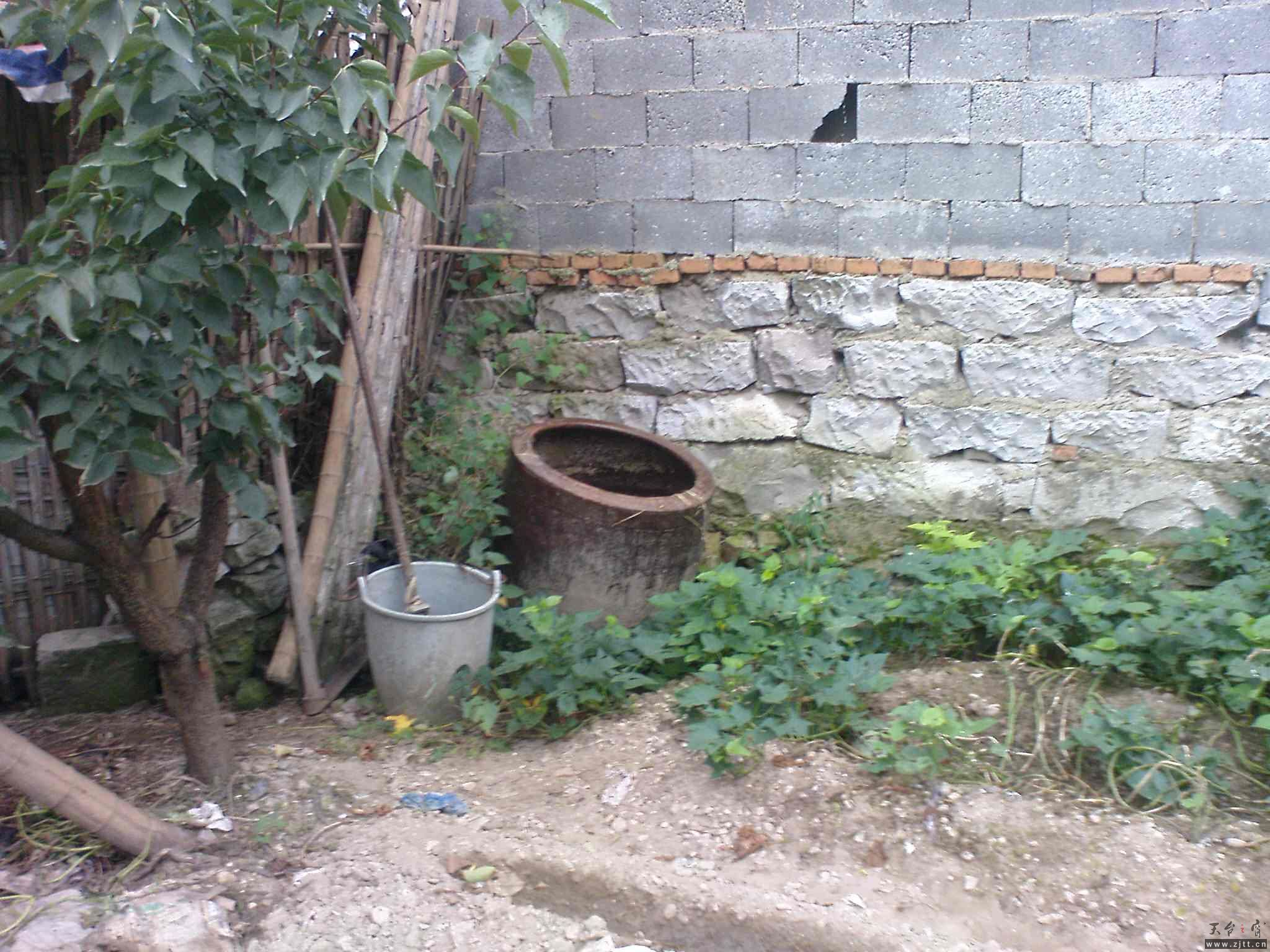 DSC00605.JPG