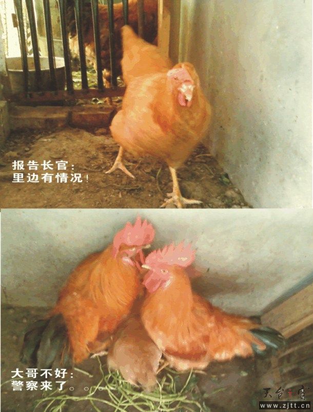 图形1.jpg