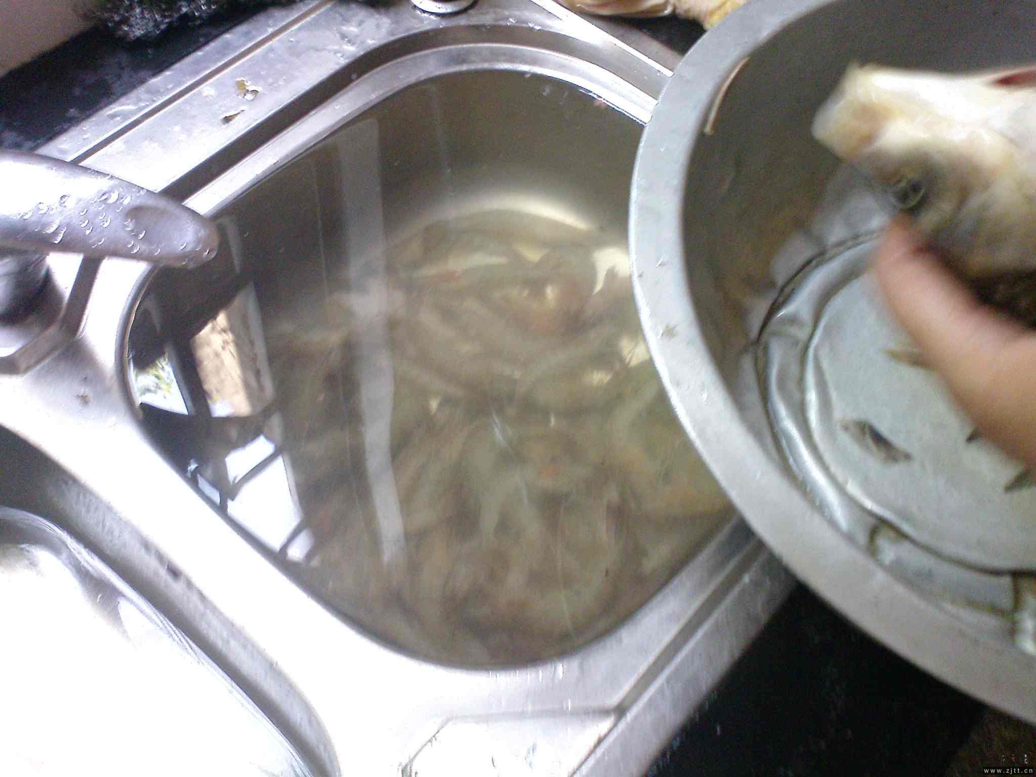 DSC00608.JPG
