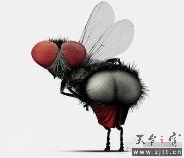 空姐