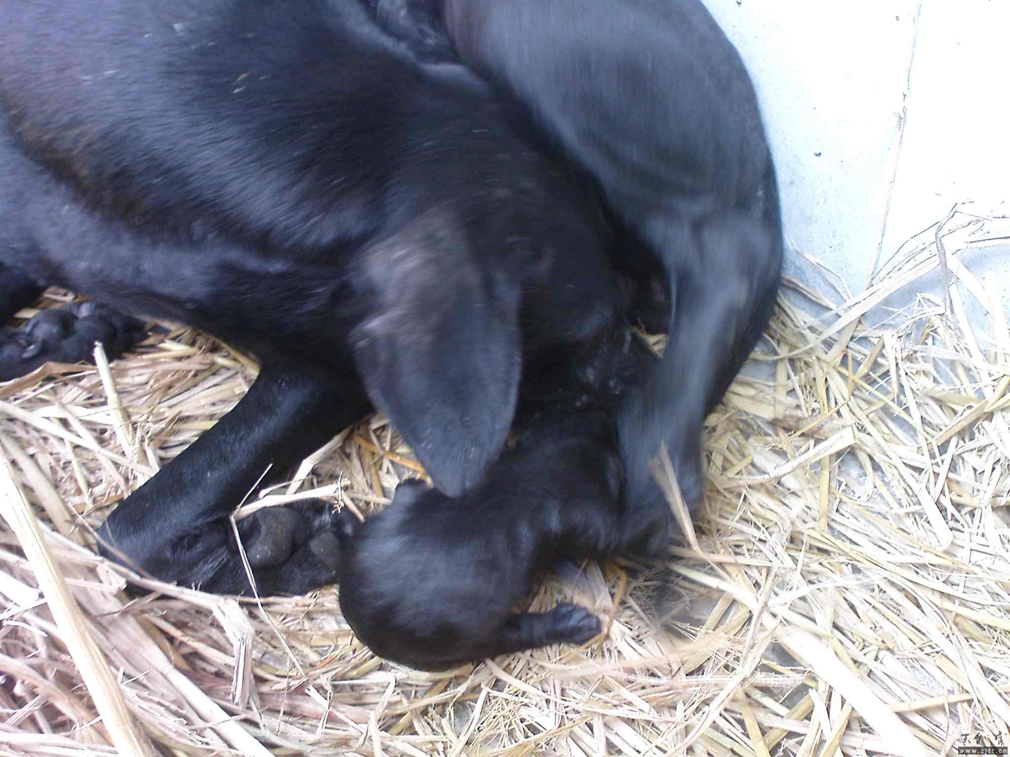 DSC00911.JPG