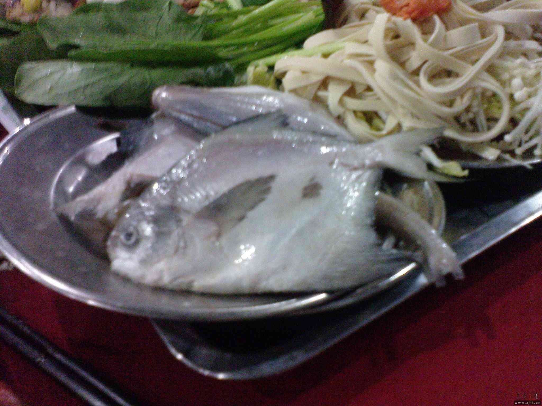 DSC01027.JPG