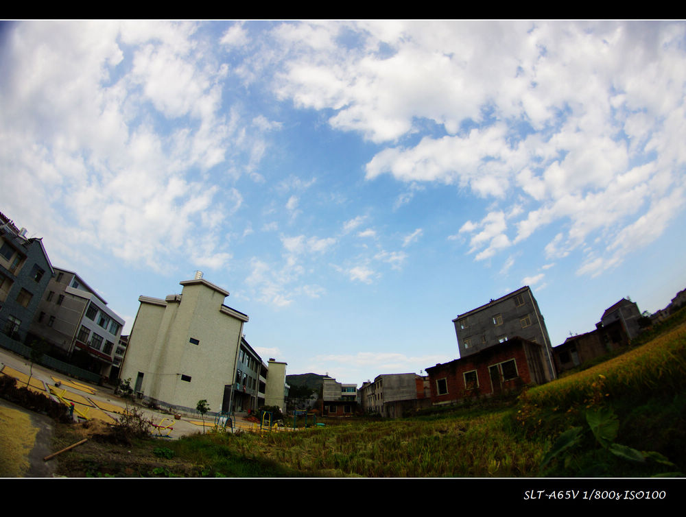 DSC00216.jpg