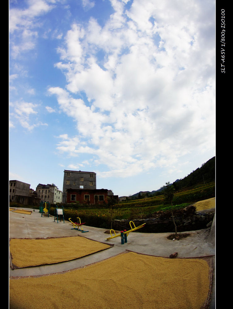 DSC00218.jpg