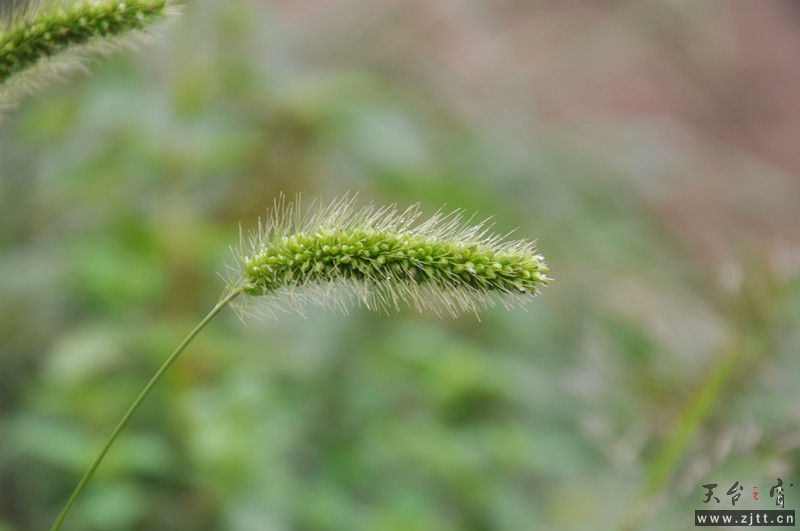 dsc_0953_副本.jpg