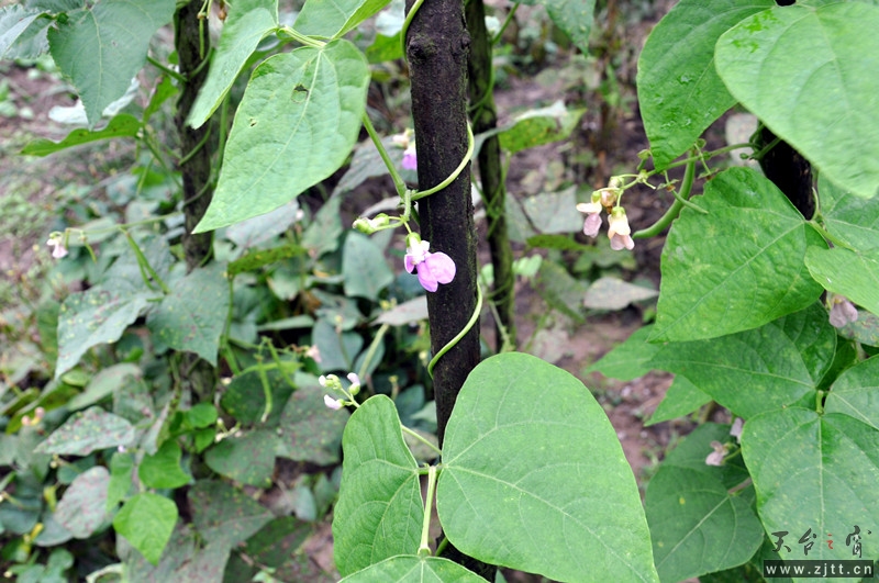 dsc_0937_副本.jpg