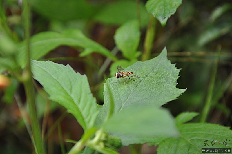 dsc_0860_副本.jpg
