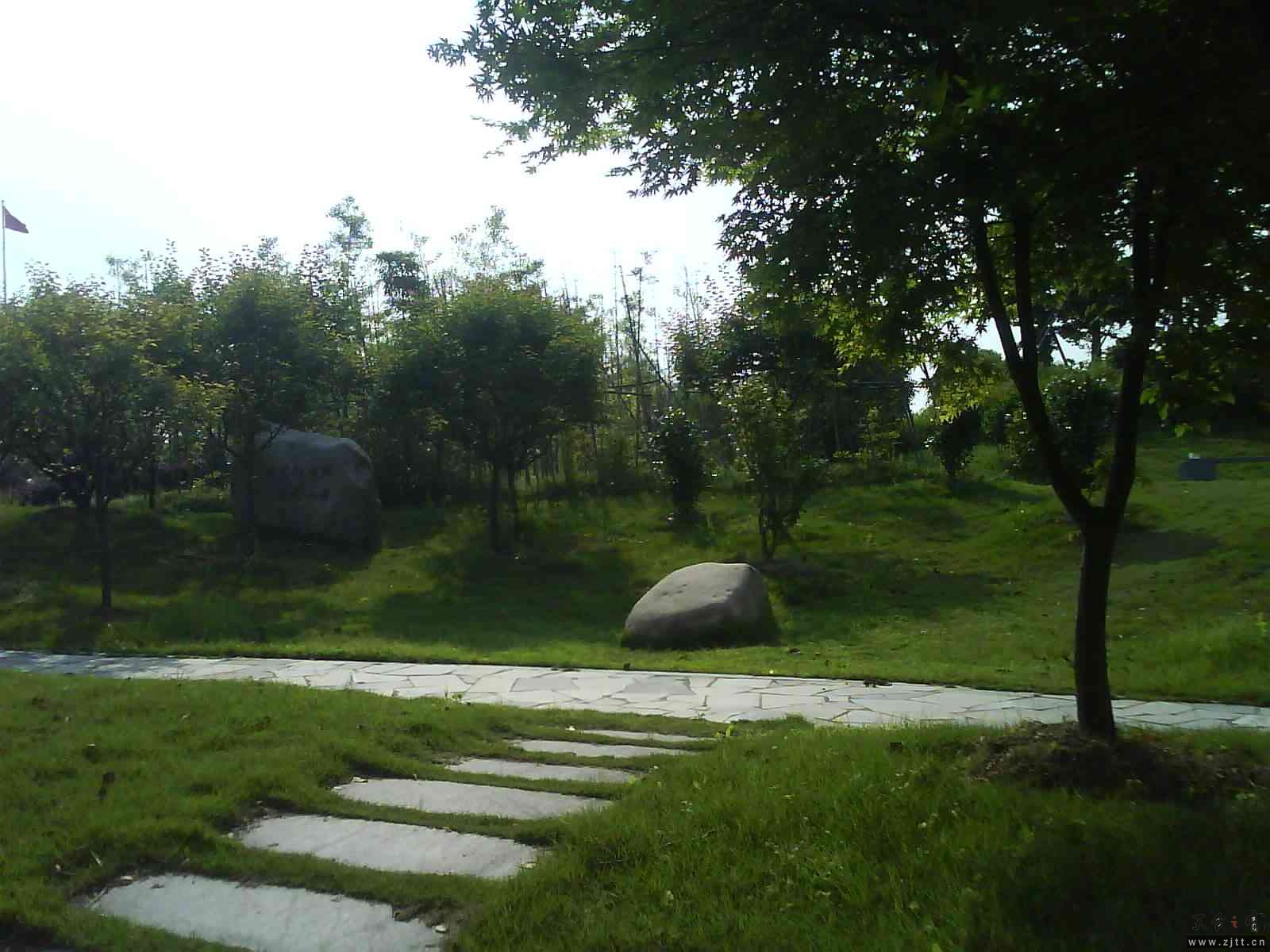 DSC01261.JPG