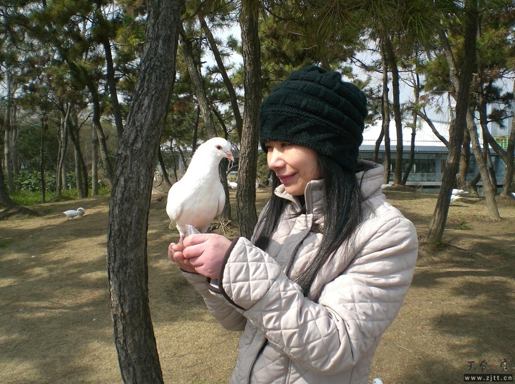 123.jpg