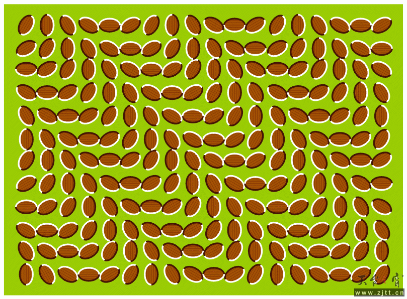 3.gif