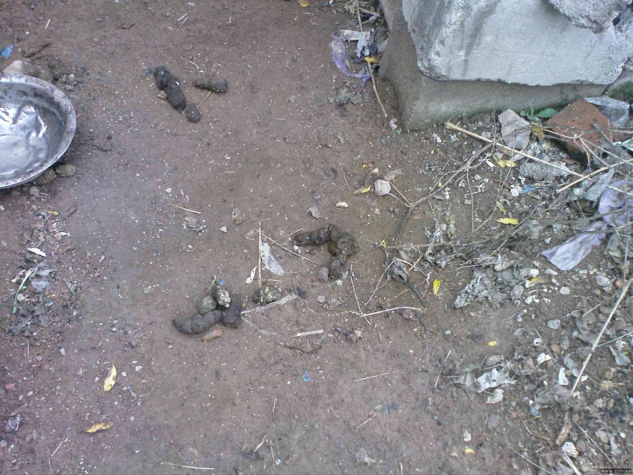 DSC01115.JPG