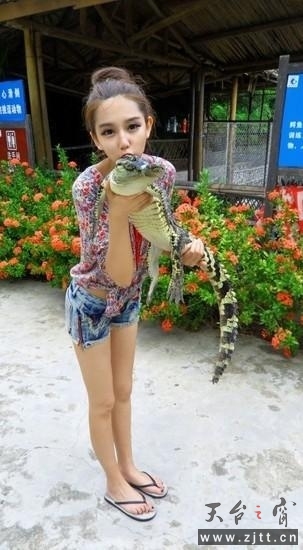 刘忠颖