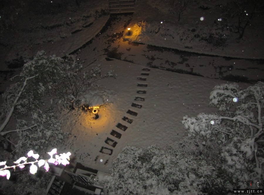 123.jpg