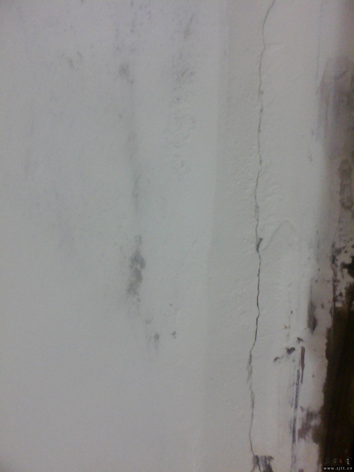 IMG0231A_B.jpg