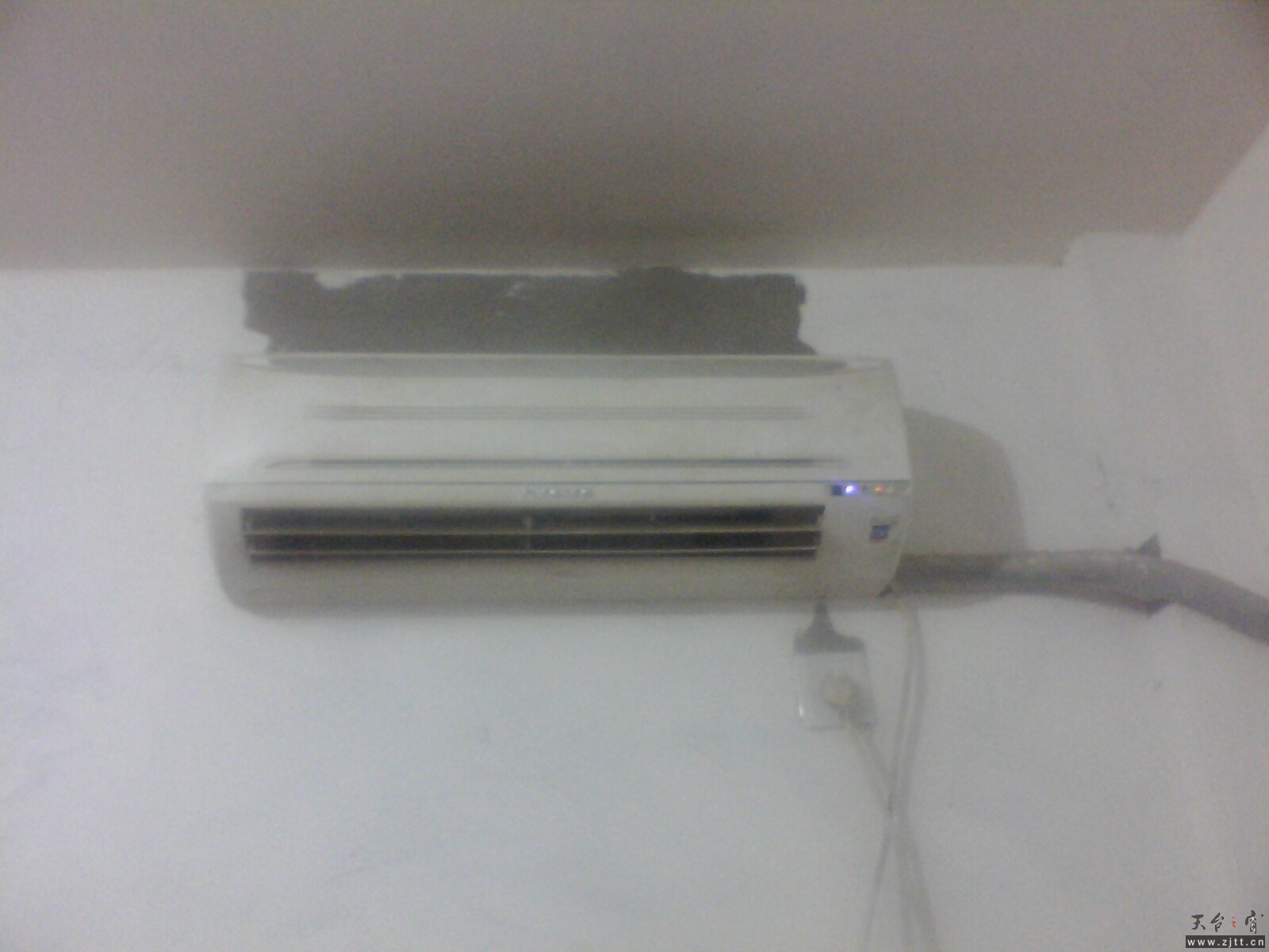 IMG0233A_A.jpg