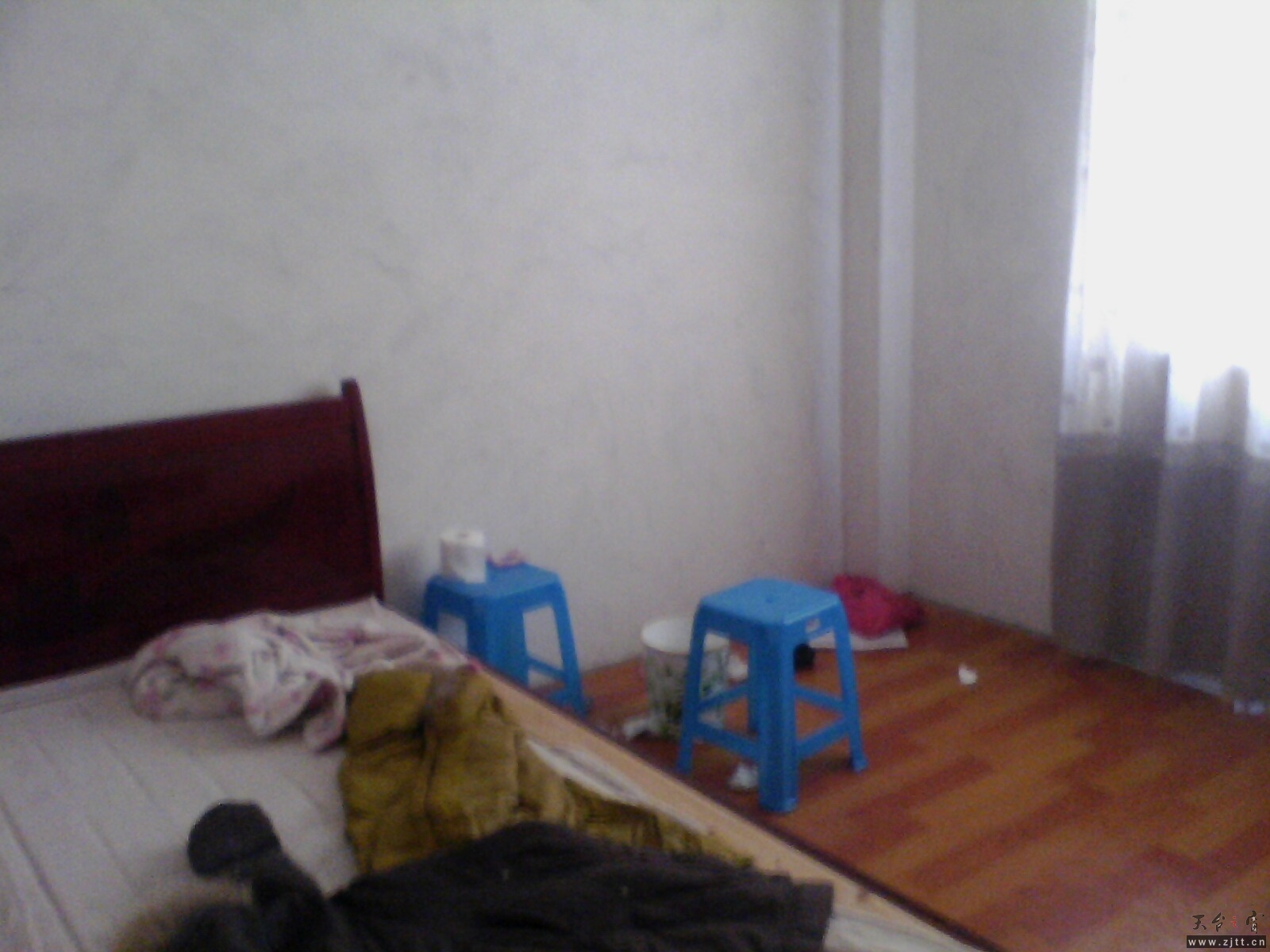 IMG0245A_A.jpg
