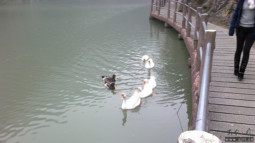 20111215035.jpg