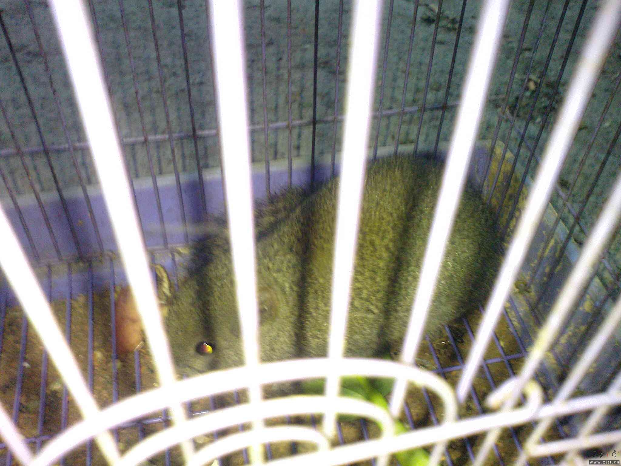 DSC00066.JPG
