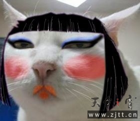 未命名.jpg