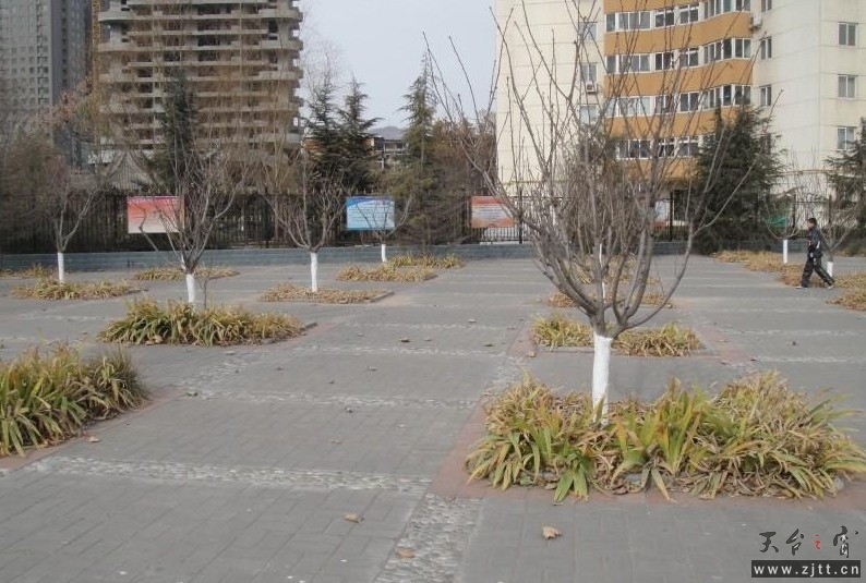 123.jpg