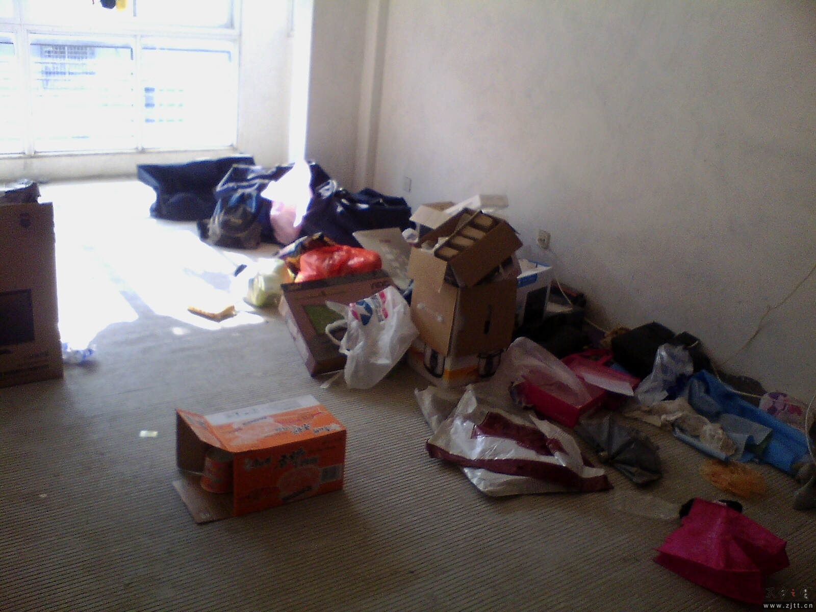 IMG0247A_A.jpg