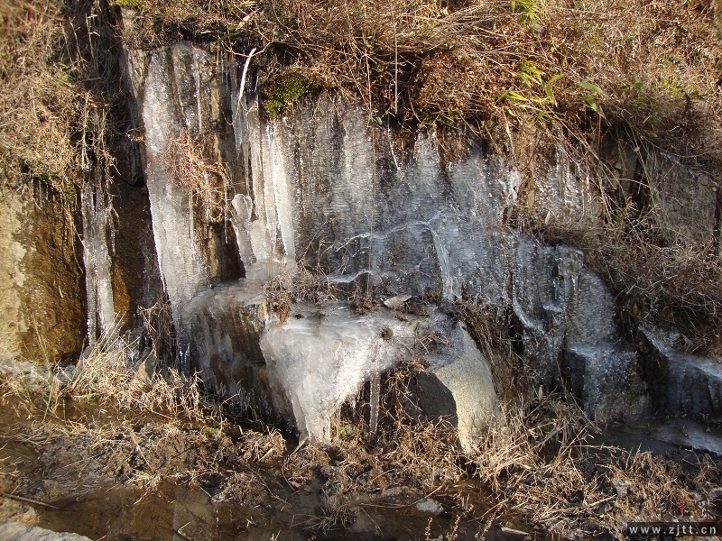 DSC03344.JPG
