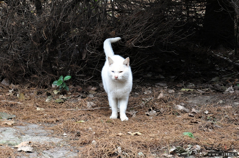 dsc_0015_副本.jpg