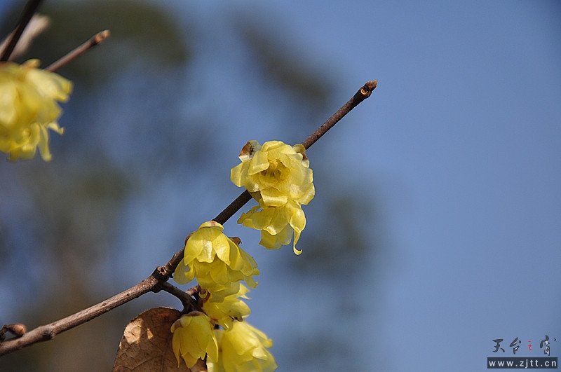 dsc_0085_副本.jpg