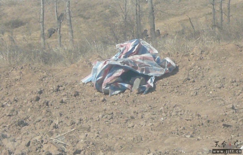 123.jpg