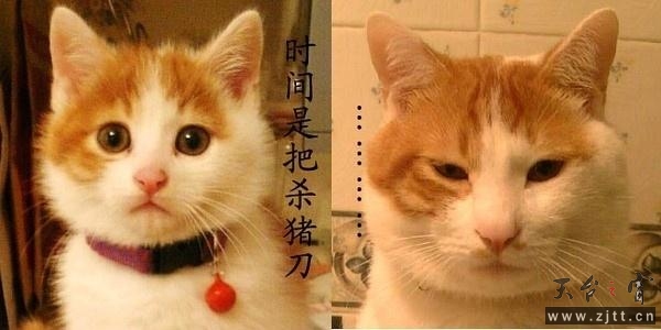 2011012972234969.jpg