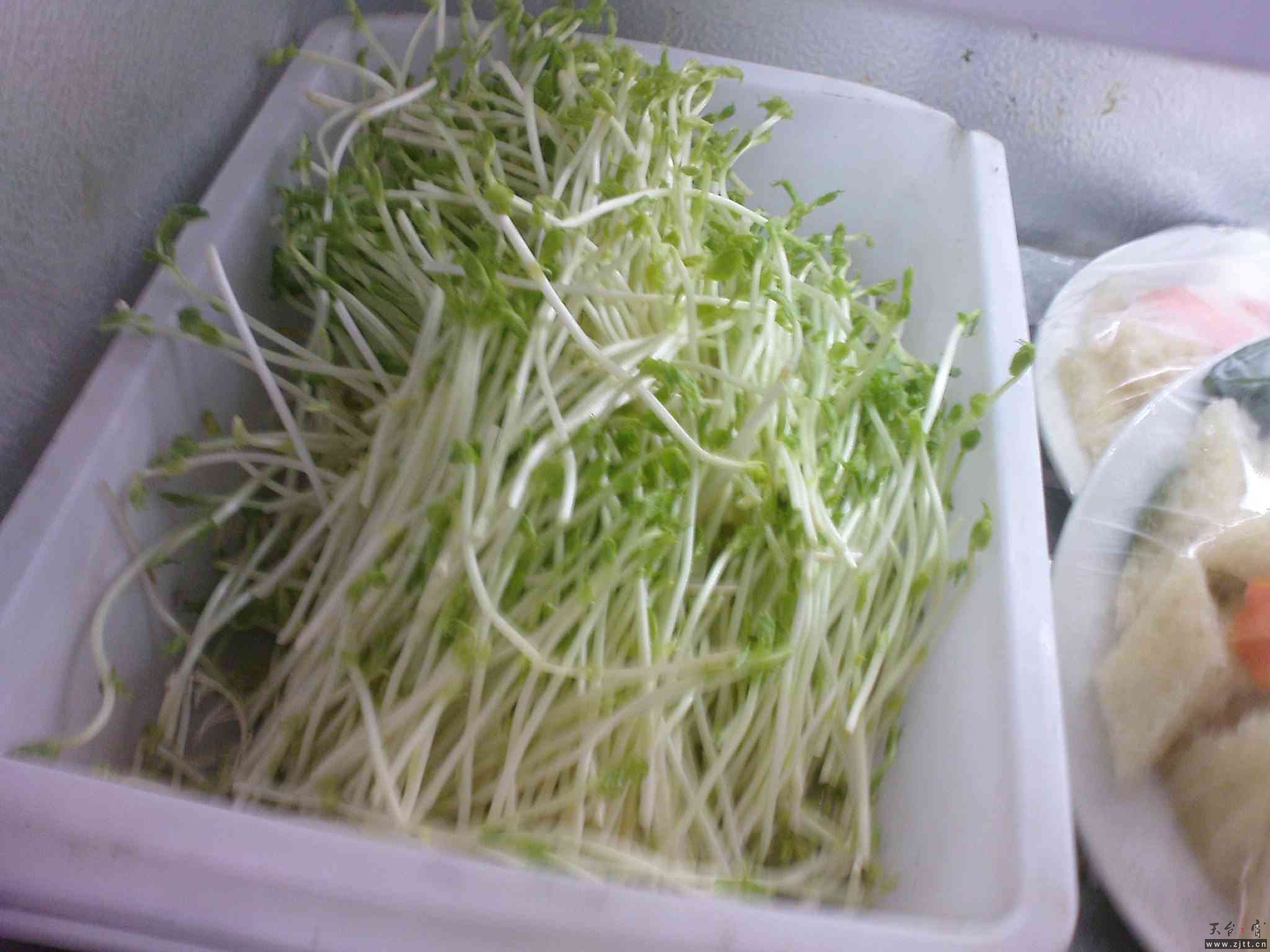 DSC00144.JPG