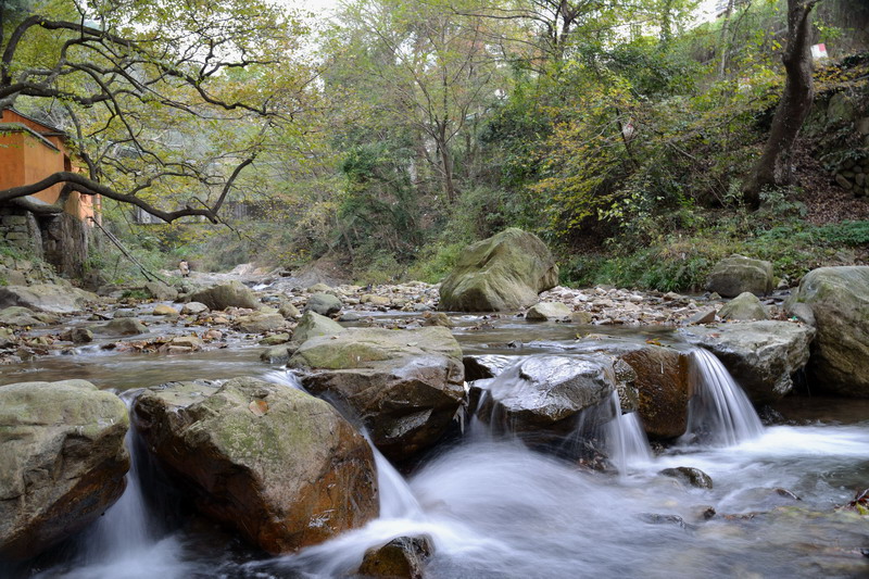 DSC_0012.JPG