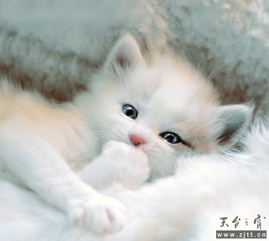 未命名.jpg