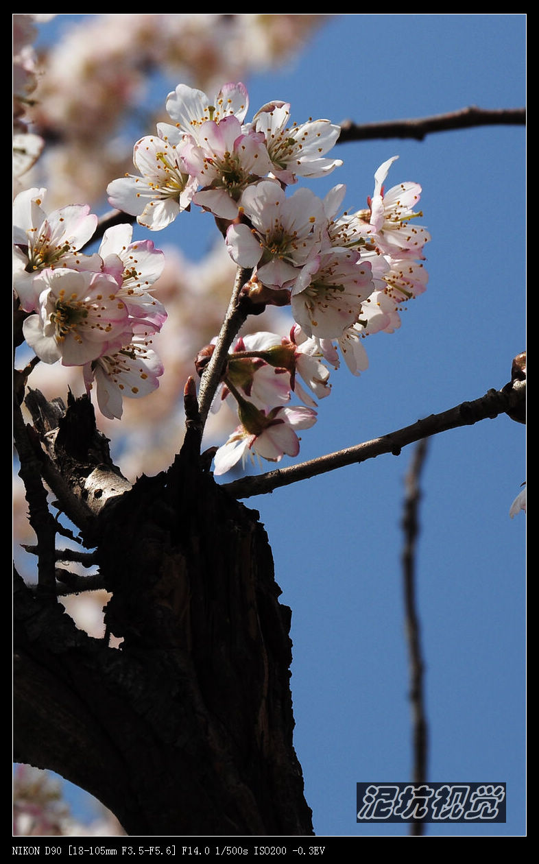 DSC_0016.jpg