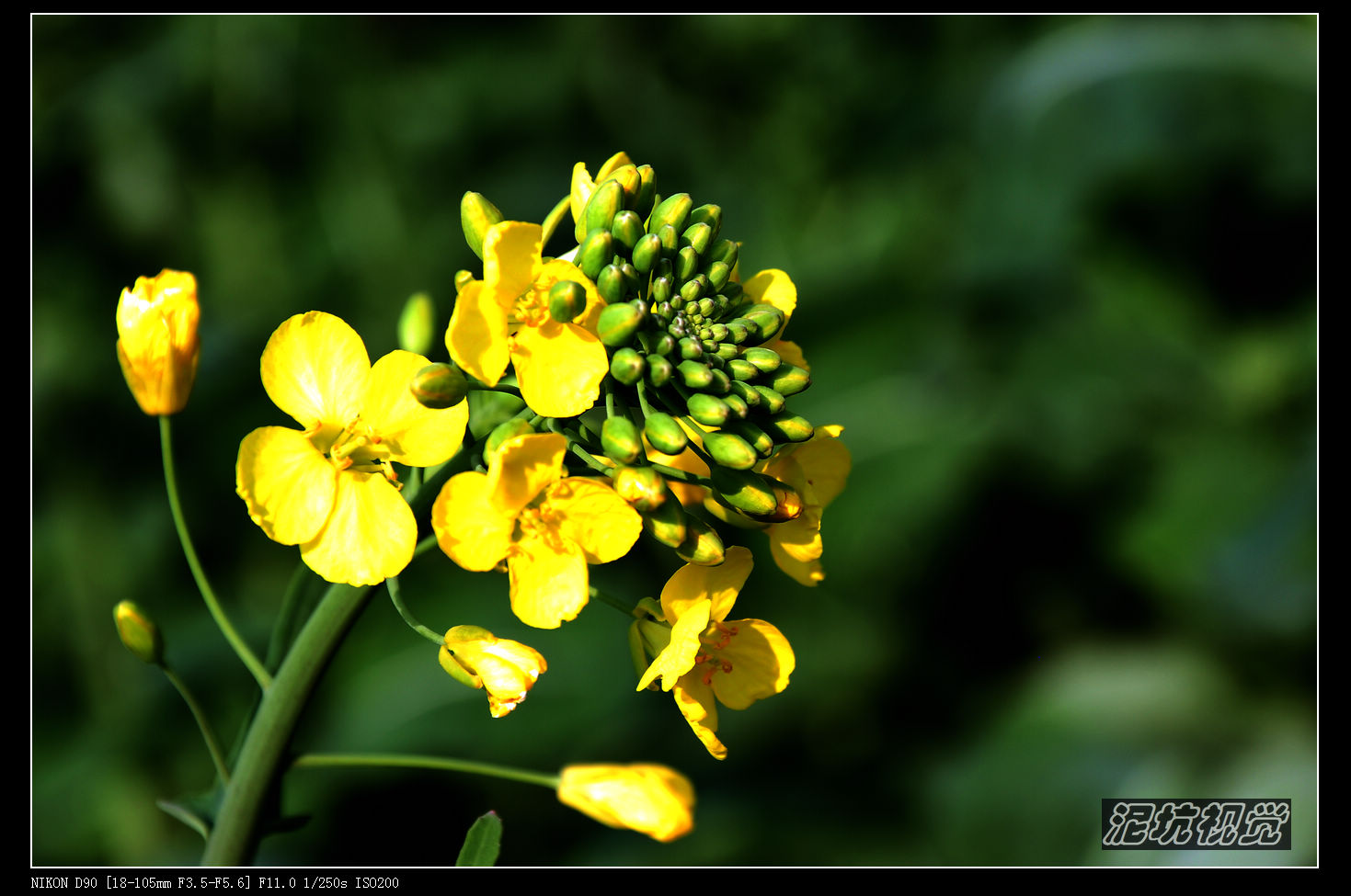 DSC_0086.jpg