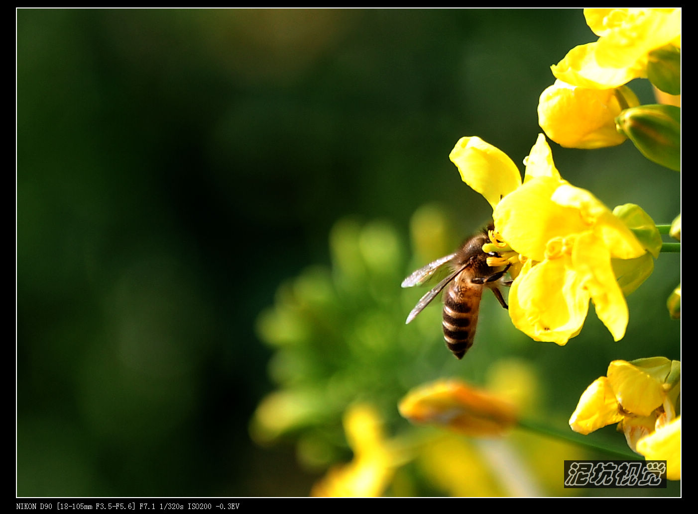 DSC_0092.jpg