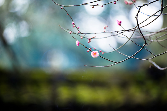 DSC_0397a.jpg