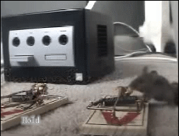 26.gif