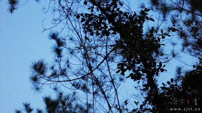 nEO_IMG_DSC00705.jpg
