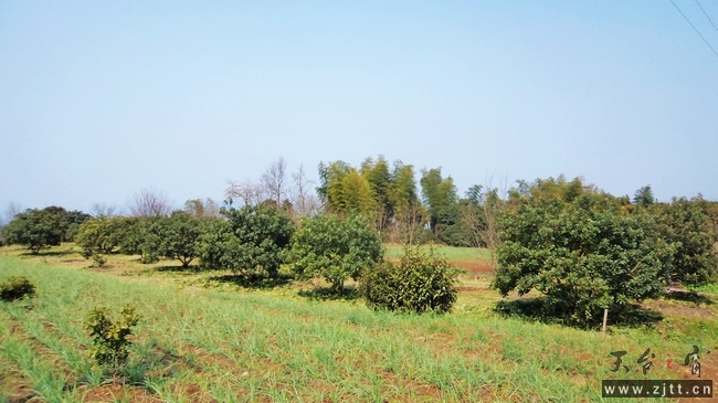 nEO_IMG_DSC00748.jpg